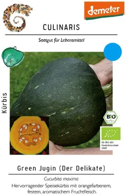 Produktbild von Kürbis Green Jugin Speisekürbis mit festem Fruchtfleisch