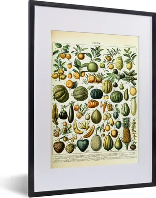 Produktbild von MuchoWow® Gerahmtes Poster Obst - Lebensmittel - Design - Vintage - Adolphe Millot 30x40 cm - Poster mit Schwarzem Bilderrahmen Wandposter Rahmen Foto Bilder - Wandposter Schlafzimmer