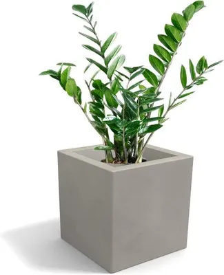 Image de Grand pot de fleurs 45 x 45 cm, gris