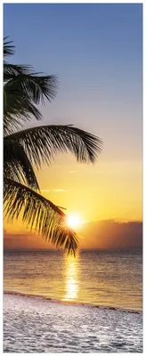 Produktbild von Wallario Wandbild aus Acryl, 125 x 50 cm, freischwebende Optik - Palme am Strand - Sonnenuntergang über dem Meer