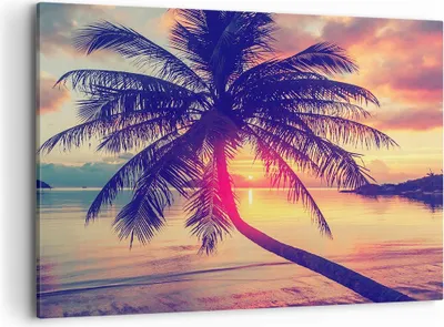 Produktbild von Bild auf Leinwand - Leinwandbild - Meer Strand Palme - 100x70cm - Wand Bild - Wanddeko - Wandbilder - Leinwanddruck - Bilder - Kunstdruck - Wanddekoration - Leinwand bilder - Wandkunst - AA100x70-3925
