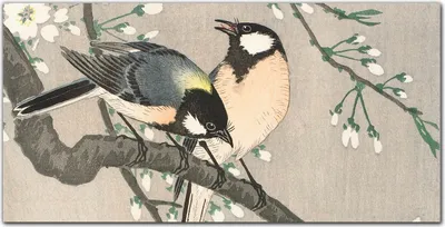 Produktbild von Coloray - Bild aus Glas - 120x60 cm - Küche wanddekoration Dekoration wohnzimmer gehärtetes Glas glasblock mit bild - Natur Tiere Vögel