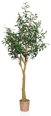 Obrázok produktu pre hjh OFFICE Umelá rastlina OLIVE II Umelá rastlina v kvetináči Olive Výška 150,0 cm Dekorácia