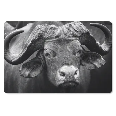 Produktbild von MuchoWow® Schreibtischunterlage Tierprofil Kaffernbüffel in Schwarz und Weiß 60x40 cm - XXL Mauspad - Großes Mauspad