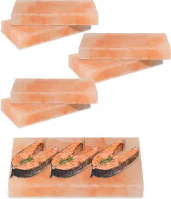 Produktbild von Faziango 6x Grill Salzstein Salzplatte 20x10x2,5cm Natur Salzfliese für BBQ Gasgrill & Backofen