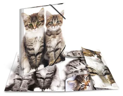 Zdjęcie produktu dla HERMA Sammelmappe A3 Katzen Polypropylen