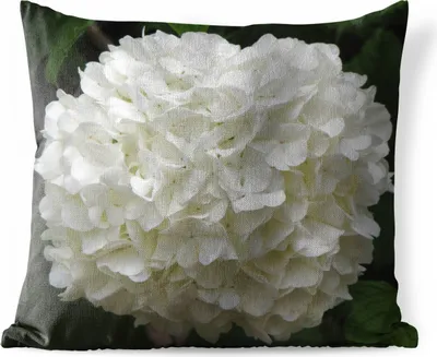 Produktbild von MuchoWow® Outdoor Kissen - Weiße Hortensie - 45x45 cm - Wetterfest - Lounge Kissen - Fotokissen - Dekoratives Kissen