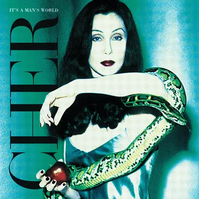 Produktbild von Cher - It'S A Man'S World (2 LP)