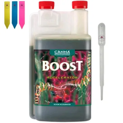 Produktbild von Canna Boost 250 ml