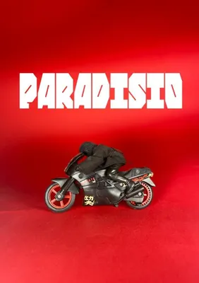 Immagine prodotto di Paradisio