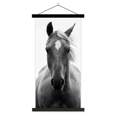Produktbild von MuchoWow® Textilposter Pferd - Tier - Schwarz - Weiß 60x120 cm mit schwarzem Rahmen - Magnete