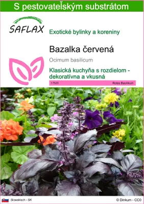 Produktbild von SAFLAX - Bazalka červená - Ocimum basilicum - 200 Semená - S pestovateľským substrátom bez klíčkov