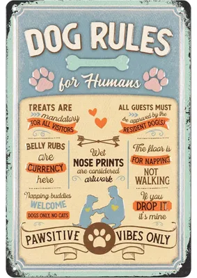 Produktbild von LANOLU Retro Blechschild Hunderegeln, Hundeschilder, Blechschild Hund, Deko Garten Hund, Geschenke für Frauen Hundeliebhaber, 20x30cm