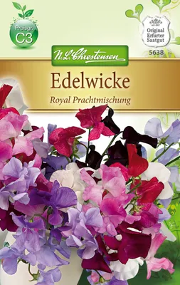 Produktbild von Edelwicke Royal PrachtMischung  | Wickensamen von N.L. Chrestensen