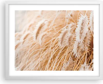 Produktbild von Gerahmtes Poster - Weißer Rahmen - Gras Boho Licht - 50x40 cm - Wand Bild - Wanddeko - Wandbilder - Kunstposter - Wandposter - Bilderrahmen - Bilder - Kunstdruck - Wanddekoration - P2WAA50x40-4903