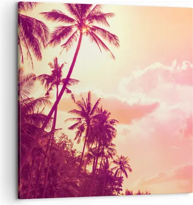 Produktbild von Bild auf Leinwand - Leinwandbild - palme dschungel - 50x50cm - Wand Bild - Wanddeko - Wandbilder - Leinwanddruck - Bilder - Kunstdruck - Wanddekoration - Leinwand bilder - Wandkunst - AC50x50-3994