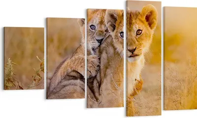 Produktbild von Bild auf Leinwand - Leinwandbild - Löwe Natur Tier - 100x60cm - Wand Bild - Wanddeko - Wandbilder - Leinwanddruck - Bilder - Kunstdruck - Wanddekoration - Leinwand bilder - Wandkunst - EG100x60-3480