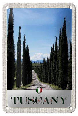 Produktbild von Blechschild Reise 12x18cm Toskana Italien Allee Weg Schild