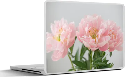 Produktbild von MuchoWow® Laptop Aufkleber Sticker Cover Blumenstrauß aus rosa Pfingstrosen 36.5x27.5 cm - Laptop-Sticker
