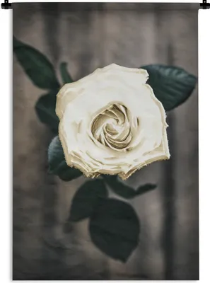 Produktbild von MuchoWow® Wandteppich Wandbehang Blume - Weiß - Grau 120x180 cm Tapisserie Dekoration Wandtuch - Schlafzimmer - Dekorationen für das Haus