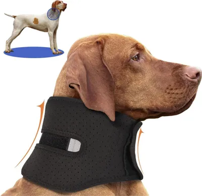 Produktbild von Verstellbare Halskrause Hund Hundekragen, Hundekragen Leckschutz, Schutzkragen Hund, M