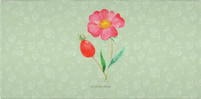 Produktbild von Mr. & Mrs. Panda Handtuch Blume Hagebutte - Blattgrün - Geschenk, baumwolle, Baumwollhandtuch, Garten, Flauschtuch, Lebensfreude, Schlechte Gedanken, Frotteehandtuch