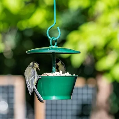 Produktbild von CJ Wildlife Vogelfutterspender für Mehlwurmer - Metall/Kunststoff, Grün - Höhenverstellbares Dach - Aufhängbar für Rotkehlchen, Meisen & Finken