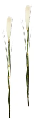 Obrázek produktu pro Flair, sada 2 kusů umělých květů pampasové trávy, polyester, plast, bílá barva, rozměry 6 x 6 x 125 cm, 2 kusy