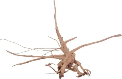 Produktbild von M Siennawurzel Nr.3241 Wurzel Holz Aquarium Deko Aquascaping