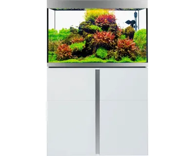 Produktbild von Aquariumkombination Fluval Siena 272 mit LED-Beleuchtung, Heizer, Außenfilter und Unterschrank 272 l Weiß 90 x 55 x 128