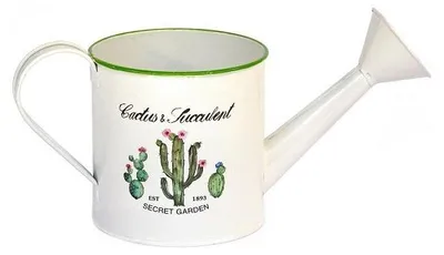 Productafbeelding van Waterkan van metaal, decoratie: cactus, hoogte 10 cm