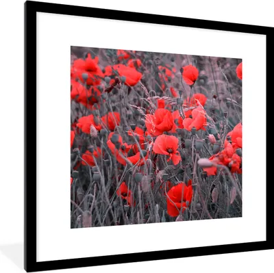 Produktbild von MuchoWow® Gerahmtes Poster Rote Mohnblumen in einem Schwarz-Weiß-Bild 40x40 cm - Poster mit Schwarzem Bilderrahmen Wandposter Rahmen Foto Bilder - Poster - Plakat im Rahmen