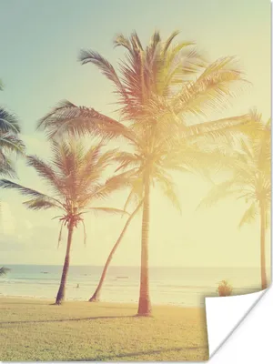 Produktbild von MuchoWow® Poster Meer - Palme - Sommer - Sonne - Strand 90x120 cm - Wohnzimmer