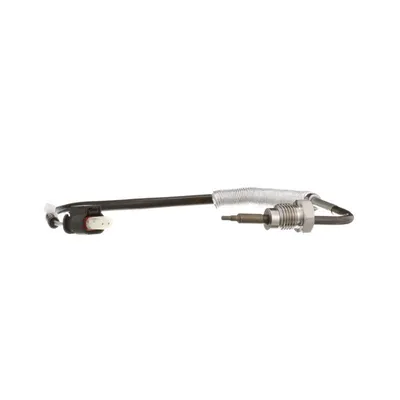 Image de Capteur, Abgastemperatur