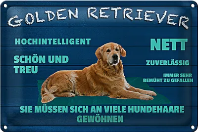 Produktbild von Blechschild Spruch 30x20cm Golden Retriever Hund nett treu