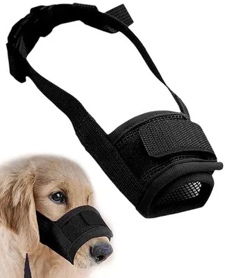 Imagen del producto de Protector anti-garrapatas para perros pequeños - Compacto - Ideal para Chihuahuas y Shih Tzu - Ajustable