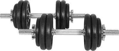 Imagen del producto de Silecomplaza: Juego de 2 mancuernas cortas de 30 kg, con barra de 25 mm y 12 discos de hierro fundido