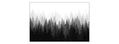 Produktbild von Muralo Fototapete Wald 225 (B) x 150 (H) cm Vlies Tapete Wandtapeten Bäume Schwarz-Weiß Wohnzimmer Schlafzimmer moderne Wandbilder XXL Landschaft Panorama Wand Dekoration