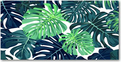 Produktbild von Tulup® Glas-Bild - 100x50 -Wandkunst - Wandbild hinter gehärtetem Sicherheitsglas  - Blumen & Pflanzen - Tropische Blätter - Grün
