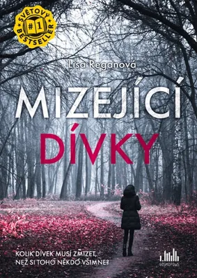 Image de Mizející dívky (Reganová Lisa)