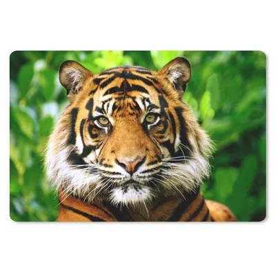 Produktbild von MuchoWow® Mauspad Mousepad Tiger - Kopf - Wald 27x18 cm - Mousepads - Maus Mat - Pad - Mausunterlage - Büroartikel - Desk Matten