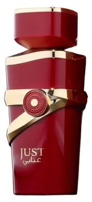 Produktbild von Fragrance World Just Anabi Eau de Parfum 100ml