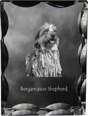 Obrázek produktu pro Bergamský ovčák - krystal s fotografií psa, skleněná soška s fotografií, jedinečný rám s fotografií značky Art-Dog