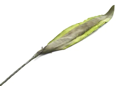 Produktbild von Deko - Aloe-Blatt künstlich, grün, ca. 115 cm