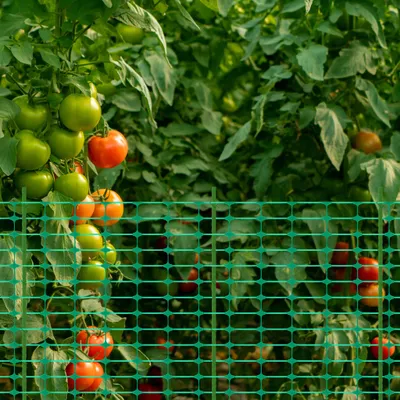 Produktbild von YZNAHRE Weidezaun 80m Hühnerzaun 100cm Hoch Hundezaun inkl. 80 Pfähle und 250 Bindebänder Kunststoff Gartenzaun Steckzaun Mobiler Zaun