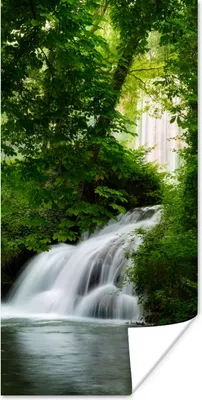 Produktbild von MuchoWow® Poster Wasserfall - Natur - Grün 60x120 cm - Wandschmuck