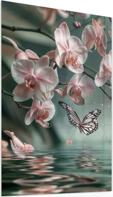 Produktbild von Glasbild 50x75cm in XXL für Wohnzimmer, Schlafzimmer Motiv Orchideen Schmetterling