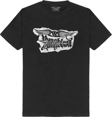 Produktbild von Yungblud T-Shirt Herren Yungblud x Aerosmith schwarz XXL