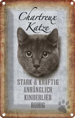 Produktbild von vianmo Blechschild 30x20 cm Chartreux Katze stark Tier Haustier