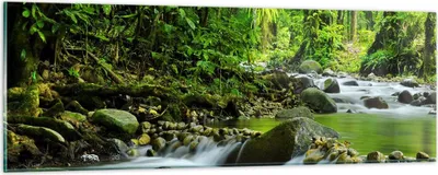 Produktbild von Bilder auf glas - Stream Wald Natur - 90x30cm - Glasbilder - Wandbilder - Kunstdruck - zum Aufhängen bereit - Wanddekoration aus Glas - Glas Bilder - Wandbild auf Glas - Einteilig - GAB90x30-0174